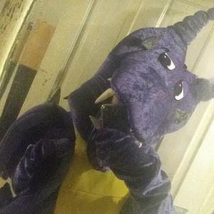 Meet your Posher, Karissa